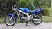 Suzuki 500
